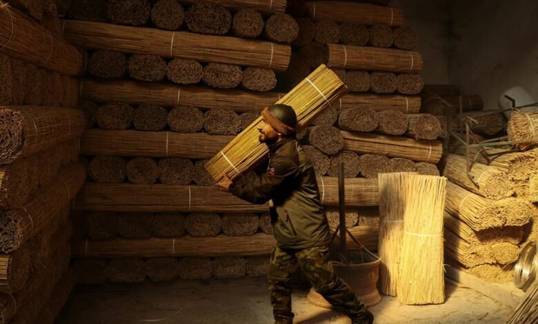 core statistics for bundles